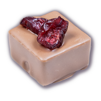 Praline Cranberry Nougat