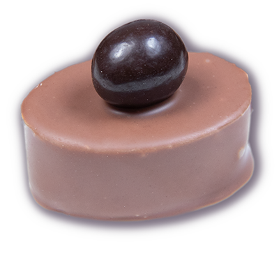 Praline Nougat mit Kaffeebohne